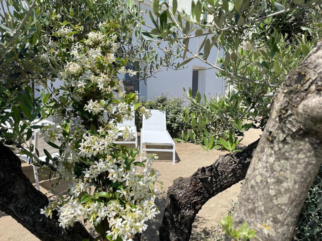 Villa Le Agavi Luxory Beach Surfhouse Bellaria-Igea Marina Zewnętrze zdjęcie